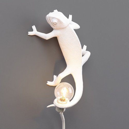 Chameleon Lamp Left-Going up